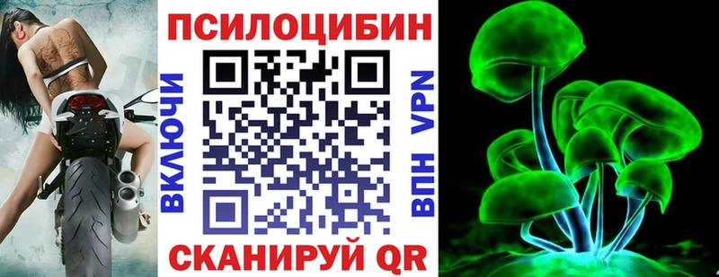 Галлюциногенные грибы GOLDEN TEACHER  наркошоп  Балтийск 