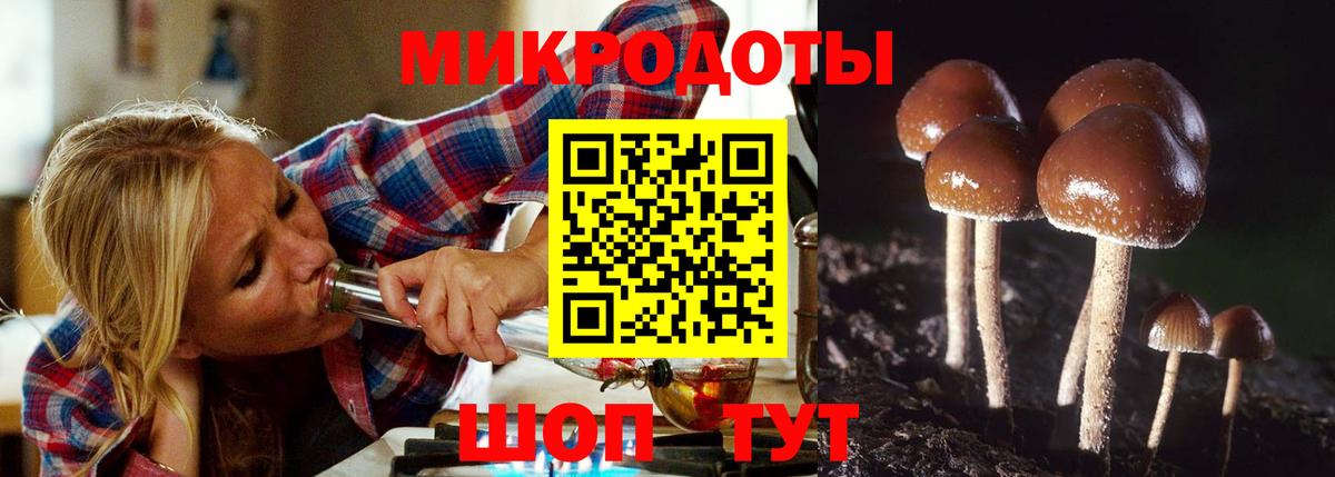 Балтийск  Псилоцибиновые грибы Cubensis  наркота  Вход с VPN  Псилоцибиновые грибы Psilocybe 