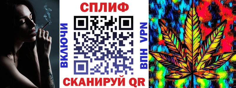 где найти   Балтийск  Канабис VHQ 